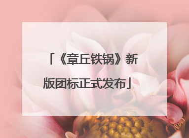 《章丘铁锅》新版团标正式发布