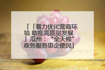 「着力优化营商环境 助推高质量发展」瓜州：“全天候”政务服务惠企便民