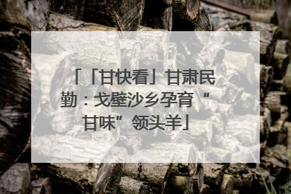 「甘快看」甘肃民勤：戈壁沙乡孕育“甘味”领头羊