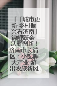 「城市更新·乡村振兴看济南」锦鲤跃金 沃野图新！济南市长清区：小锦鲤大产业 游出农旅新风景