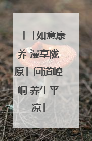 「如意康养 漫享陇原」问道崆峒 养生平凉