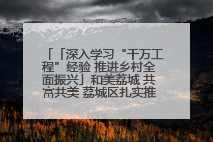 「深入学习“千万工程”经验 推进乡村全面振兴」和美荔城 共富共美 荔城区扎实推进乡村振兴工作