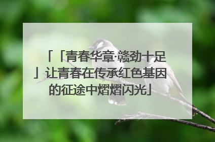 「青春华章·赣劲十足」让青春在传承红色基因的征途中熠熠闪光
