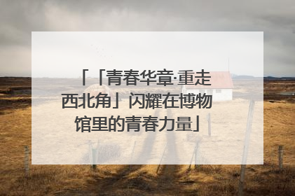 「青春华章·重走西北角」闪耀在博物馆里的青春力量