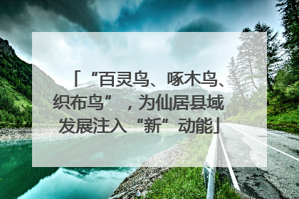 “百灵鸟、啄木鸟、织布鸟”，为仙居县域发展注入“新”动能