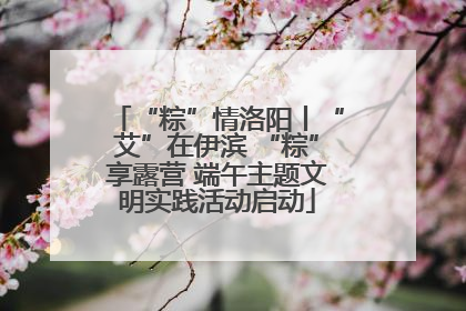 “粽”情洛阳丨“艾”在伊滨 “粽”享露营 端午主题文明实践活动启动