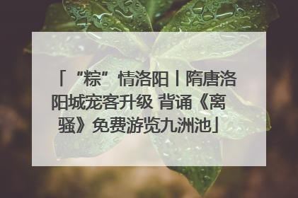 “粽”情洛阳丨隋唐洛阳城宠客升级 背诵《离骚》免费游览九洲池