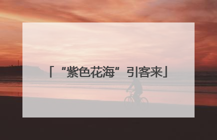 “紫色花海”引客来