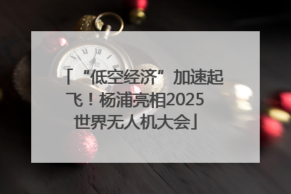 “低空经济”加速起飞！杨浦亮相2025世界无人机大会