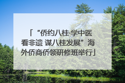 “侨约八桂·学中医 看非遗 谋八桂发展”海外侨商侨领研修班举行