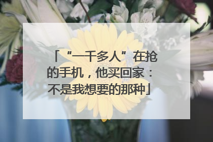 “一千多人”在抢的手机，他买回家：不是我想要的那种