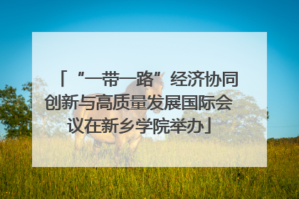 “一带一路”经济协同创新与高质量发展国际会议在新乡学院举办