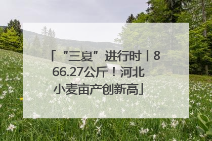 “三夏”进行时丨866.27公斤！河北小麦亩产创新高
