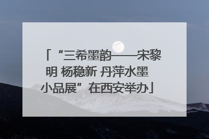 “三希墨韵——宋黎明 杨稳新 丹萍水墨小品展”在西安举办