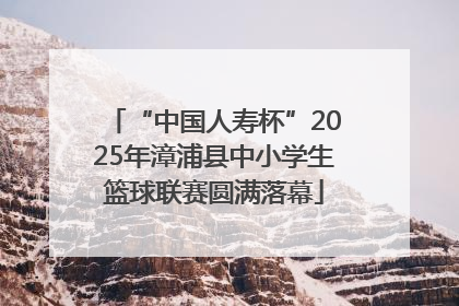 “中国人寿杯”2025年漳浦县中小学生篮球联赛圆满落幕