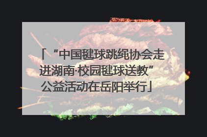 “中国毽球跳绳协会走进湖南·校园毽球送教”公益活动在岳阳举行