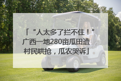 “人太多了拦不住！”广西一地280亩瓜田遭村民哄抢，瓜农哭诉