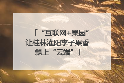 “互联网+果园”让桂林灌阳李子果香飘上“云端”