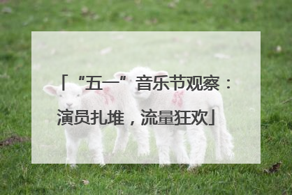 “五一”音乐节观察：演员扎堆，流量狂欢