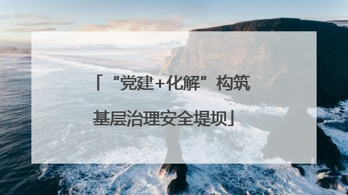 “党建+化解”构筑基层治理安全堤坝