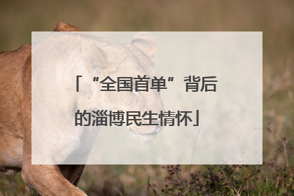 “全国首单”背后的淄博民生情怀