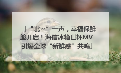 “呲～”一声，幸福保鲜舱开启！海信冰箱世杯MV引爆全球“新鲜感”共鸣