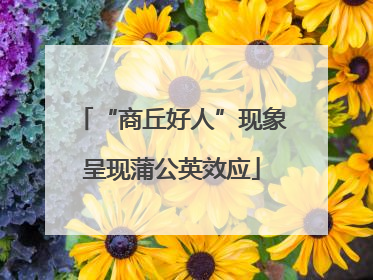 “商丘好人”现象呈现蒲公英效应