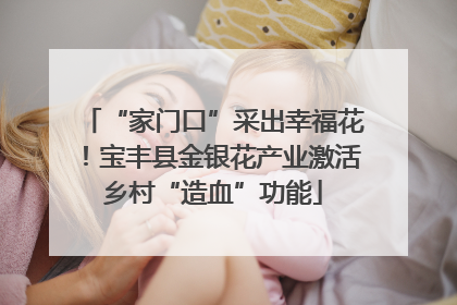 “家门口”采出幸福花！宝丰县金银花产业激活乡村“造血”功能