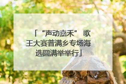 “声动嘉禾” 歌王大赛普满乡专场海选圆满举举行