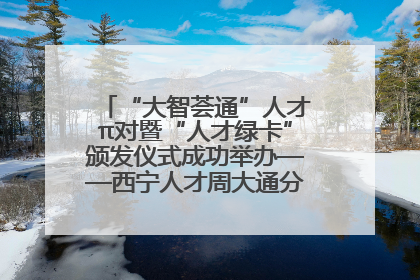 “大智荟通”人才π对暨“人才绿卡”颁发仪式成功举办——西宁人才周大通分会场亮点纷呈