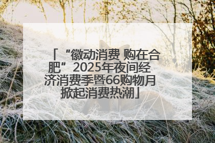 “徽动消费 购在合肥”2025年夜间经济消费季暨66购物月掀起消费热潮