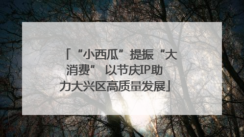 “小西瓜”提振“大消费” 以节庆IP助力大兴区高质量发展