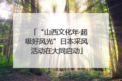 “山西文化年·超级好风光”日本采风活动在大同启动