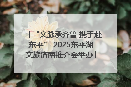 “文脉承齐鲁 携手赴东平” 2025东平湖文旅济南推介会举办
