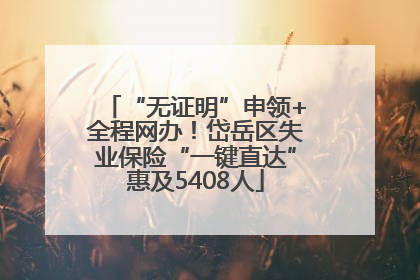 “无证明”申领+全程网办！岱岳区失业保险“一键直达”惠及5408人
