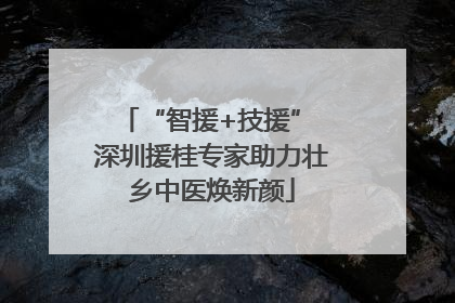“智援+技援” 深圳援桂专家助力壮乡中医焕新颜