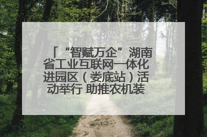 “智赋万企”湖南省工业互联网一体化进园区（娄底站）活动举行 助推农机装备产业高质量发展