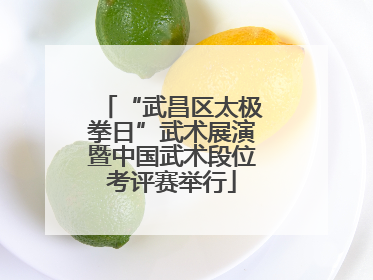 “武昌区太极拳日”武术展演暨中国武术段位考评赛举行