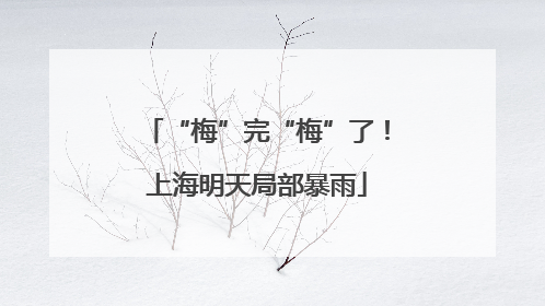“梅”完“梅”了！上海明天局部暴雨