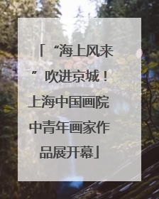 “海上风来”吹进京城！上海中国画院中青年画家作品展开幕