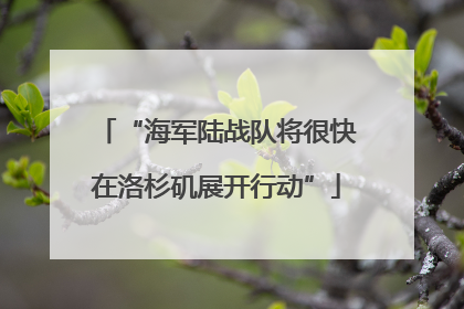 “海军陆战队将很快在洛杉矶展开行动”