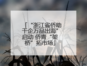 “浙江省侨助千企万品出海”启动 侨青“架桥”拓市场