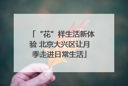 “花”样生活新体验 北京大兴区让月季走进日常生活