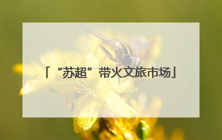 “苏超”带火文旅市场