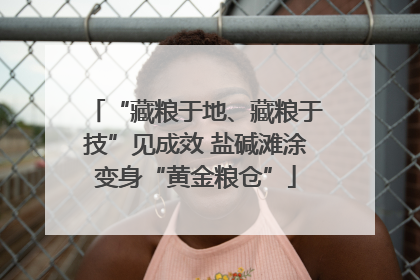 “藏粮于地、藏粮于技”见成效 盐碱滩涂变身“黄金粮仓”