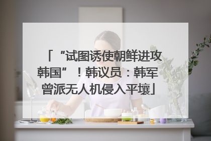 “试图诱使朝鲜进攻韩国”！韩议员：韩军曾派无人机侵入平壤