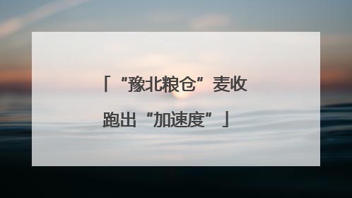 “豫北粮仓”麦收跑出“加速度”