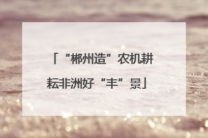 “郴州造”农机耕耘非洲好“丰”景