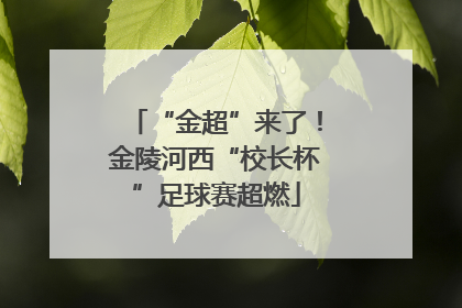 “金超”来了！金陵河西“校长杯”足球赛超燃