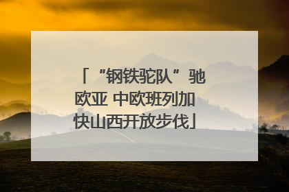 “钢铁驼队”驰欧亚 中欧班列加快山西开放步伐